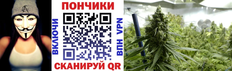 Как найти наркотики Ардон Галлюциногенные грибы Cocaine Меф мяу мяу МЕГА Альфа ПВП Бошки Шишки
