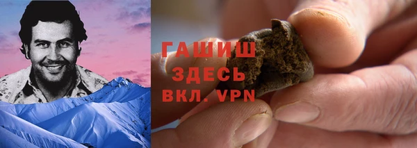 гидра Абаза
