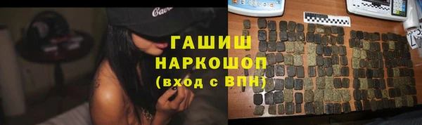 гидра Абаза