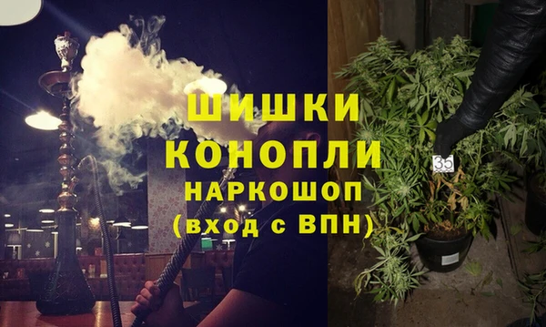 гидра Абаза