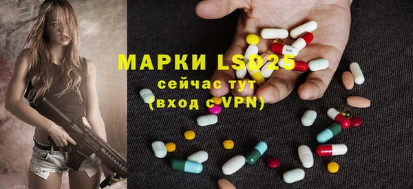 гидра Абаза
